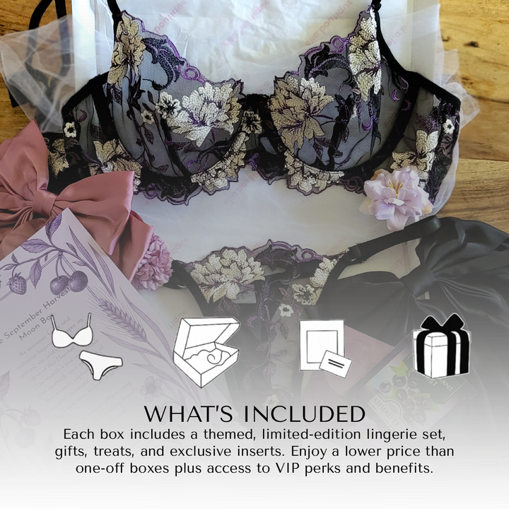 The Elia Lingerie Box
