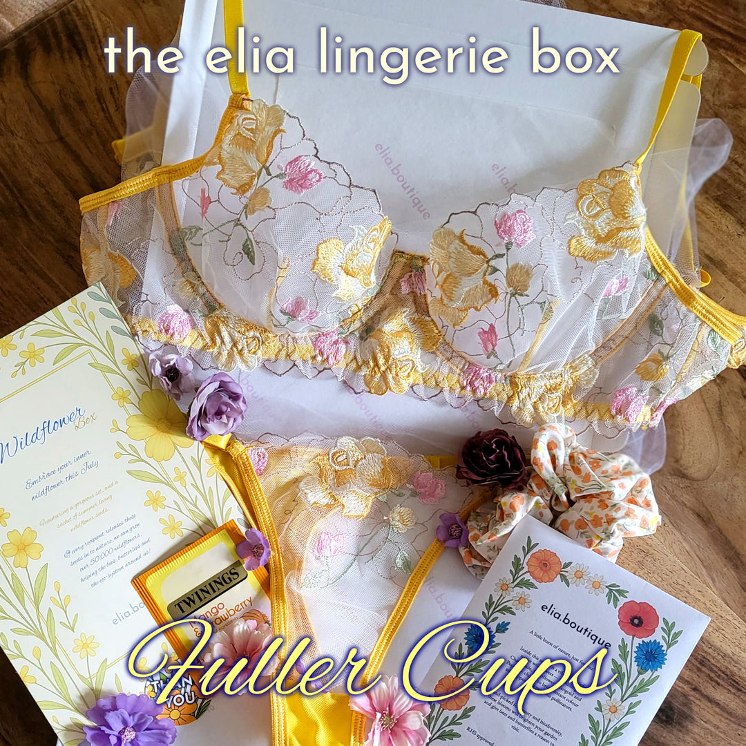 The Elia Lingerie Box - Fuller Cups