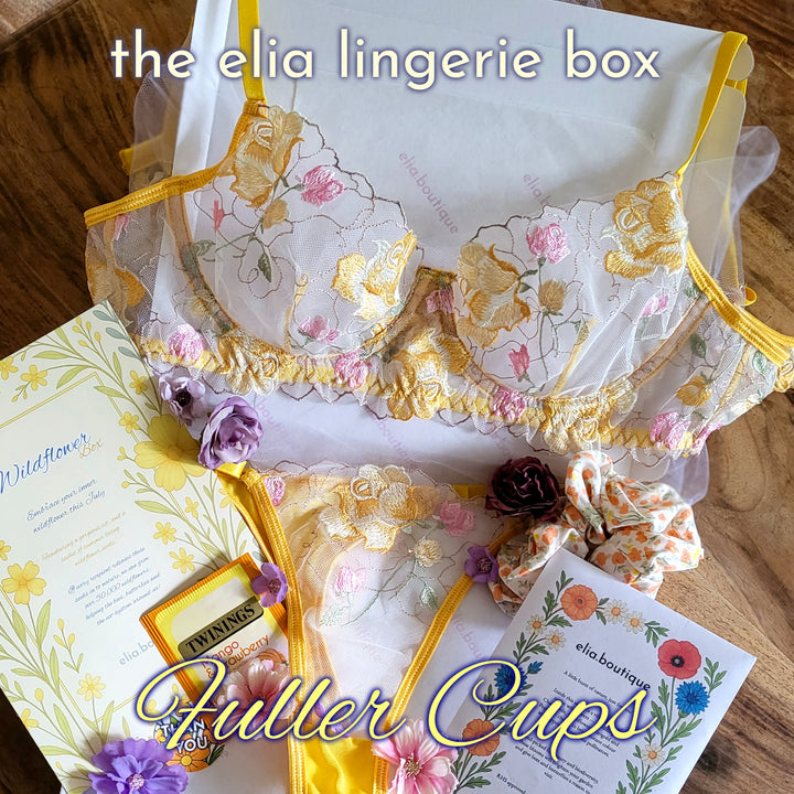 The Elia Lingerie Box - Fuller Cups